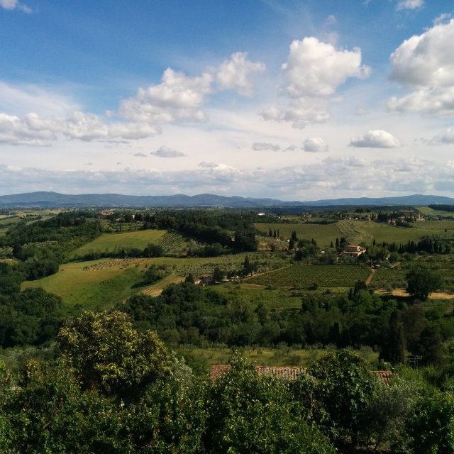 Castellare in Chianti